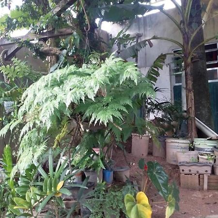 El Caleuche Hostel Rio das Ostras Buitenkant foto